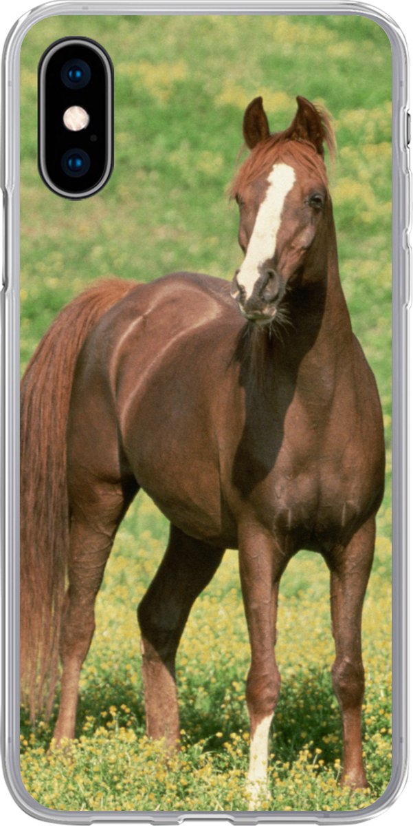Telefoonhoesje Geschikt voor iPhone X hoesje - Paarden - Gras - Bruin - Siliconen Telefoonhoesje Telefoonhoesje