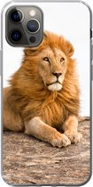 Geschikt voor iPhone 13 Pro hoesje - Leeuw - Manen - Dier - Siliconen Telefoonhoesje