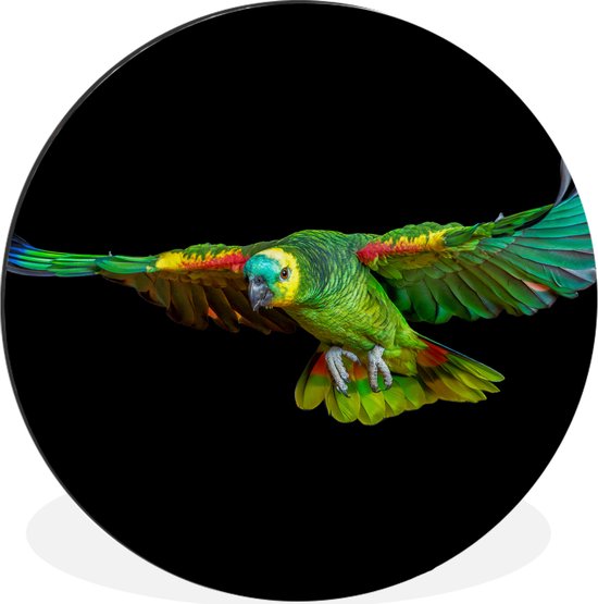 Wall Circle - Wall Circle - Perroquet - Vogel - Ressorts - Aluminium - ⌀ 30 cm - Intérieur et Extérieur