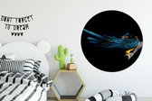 Wall Circle - Wall Circle Indoor - Vogel - Ressorts - Branche - Zwart - ⌀ 150 cm - Décoration murale - Peintures Ronds