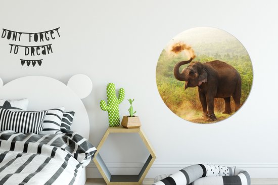 Cercle mural - Cercle mural - Éléphant de nettoyage - Aluminium - Dibond - ⌀ 90 cm - Intérieur et Extérieur