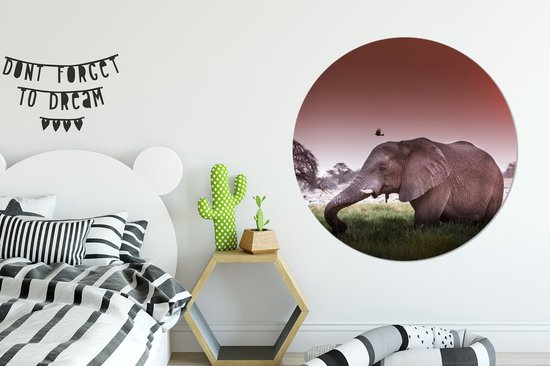 Wall Circle - Indoor Wall Circle - Coucher de soleil rouge sur un éléphant dans l'herbe - ⌀ 140 cm - Décoration murale - Peintures ronds