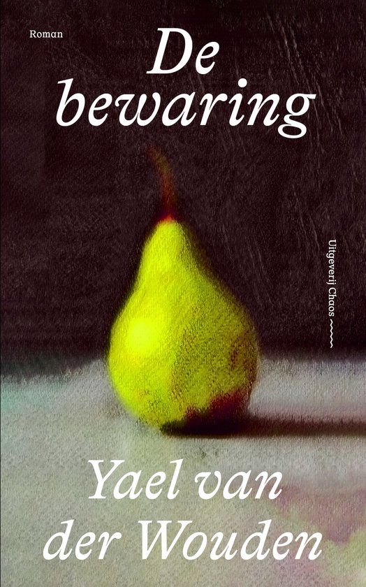 Yael van der Wouden - De bewaring