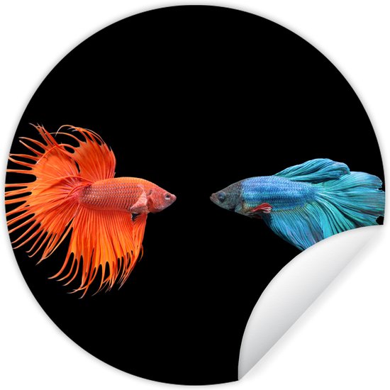 WallCircle - Stickers muraux - Cercle Papier Peint - Poissons - Animaux Sauvages - Zwart - 100x100 cm - Cercle Mural - Auto Adhésif - Sticker Papier Peint Rond XXL
