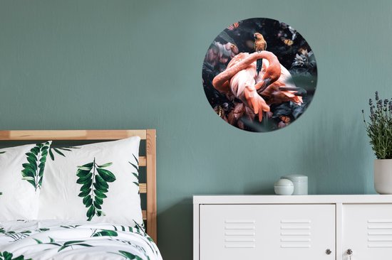 WallCircle - Cercle mural - Cercle mural - Plantes - Flamingo - Jungle - Aluminium - Dibond - ⌀ 60 cm - Intérieur et Extérieur
