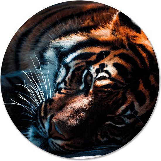 Label2X Cercle mural tigre - Ø 12 cm - Dibond (intérieur & extérieur)