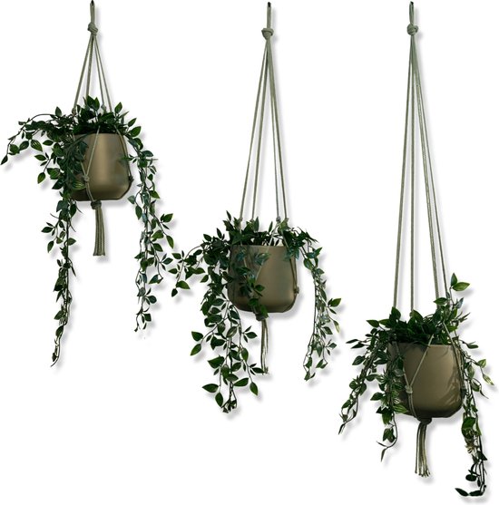 Voordeelset van 3 Plantenhangers - Olijfgroen - 80, 100 en 120 cm - Katoenkoord - Handgemaakt in ons Macramé Atelier - 3 Stuks - Let op: Exclusief Pot - Inclusief Verzendkosten