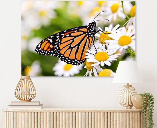 Canvas Schilderij Monarch Butterfly