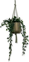 Plantenhanger - Olijfgroen - 60 cm - Katoen - Macramé - Handgemaakt in Nederland - Let op: Excl. Pot - Inclusief Verzendkosten