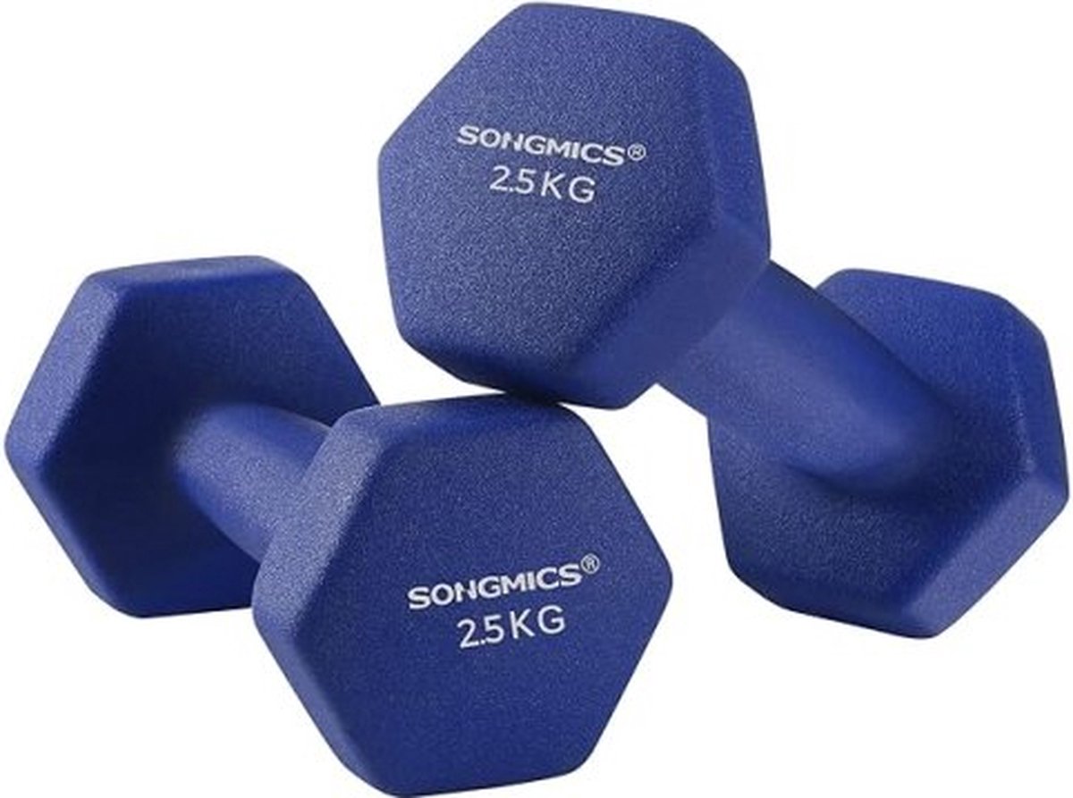 Set van 2 halters, 2 x 2,5 kg niet-slip gymnastiek Dumbbell met matte neopreen coating krachttraining Home Gym Blue