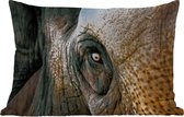 Buitenkussens - Tuin - Olifant - Close up - Dieren - Natuur - 50x30 cm