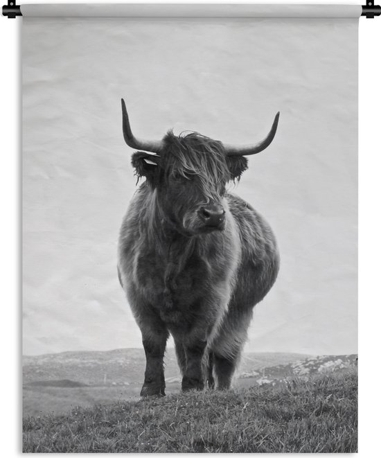 Wandkleed - Wanddoek - Dieren - Schotse hooglander - Zwart wit - Natuur - Landelijk - 60x80 cm - Wandtapijt