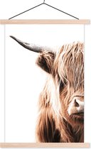 Porte-affiche avec affiche - Affiche scolaire - Highlander écossais - Animal - Taureau - 60x90 cm - Lattes vierges