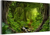 Décoration murale Métal - Peinture Aluminium Industriel - Jungle - Vert - Nature - Tropical - Plantes - 120x60 cm - Dibond - Photo sur aluminium - Décoration murale industrielle - Pour le salon / chambre
