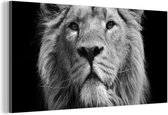 Wanddecoratie Metaal - Aluminium Schilderij Industrieel - Aziatische leeuw tegen zwarte achtergrond in zwart-wit - 40x20 cm - Dibond - Foto op aluminium - Industriële muurdecoratie - Voor de woonkamer/slaapkamer