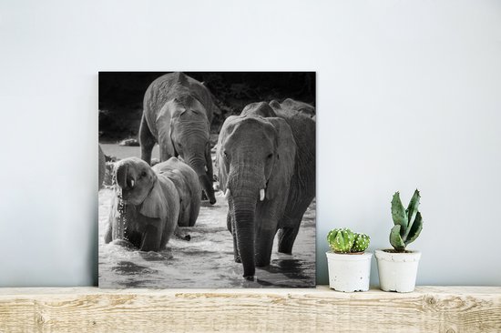 Wanddecoratie Metaal - Aluminium Schilderij - Familie olifanten in het water in zwart-wit