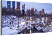 Wanddecoratie Metaal - Aluminium Schilderij Industrieel - New York - Central Park - Winter - 40x20 cm - Dibond - Foto op aluminium - Industriële muurdecoratie - Voor de woonkamer/slaapkamer