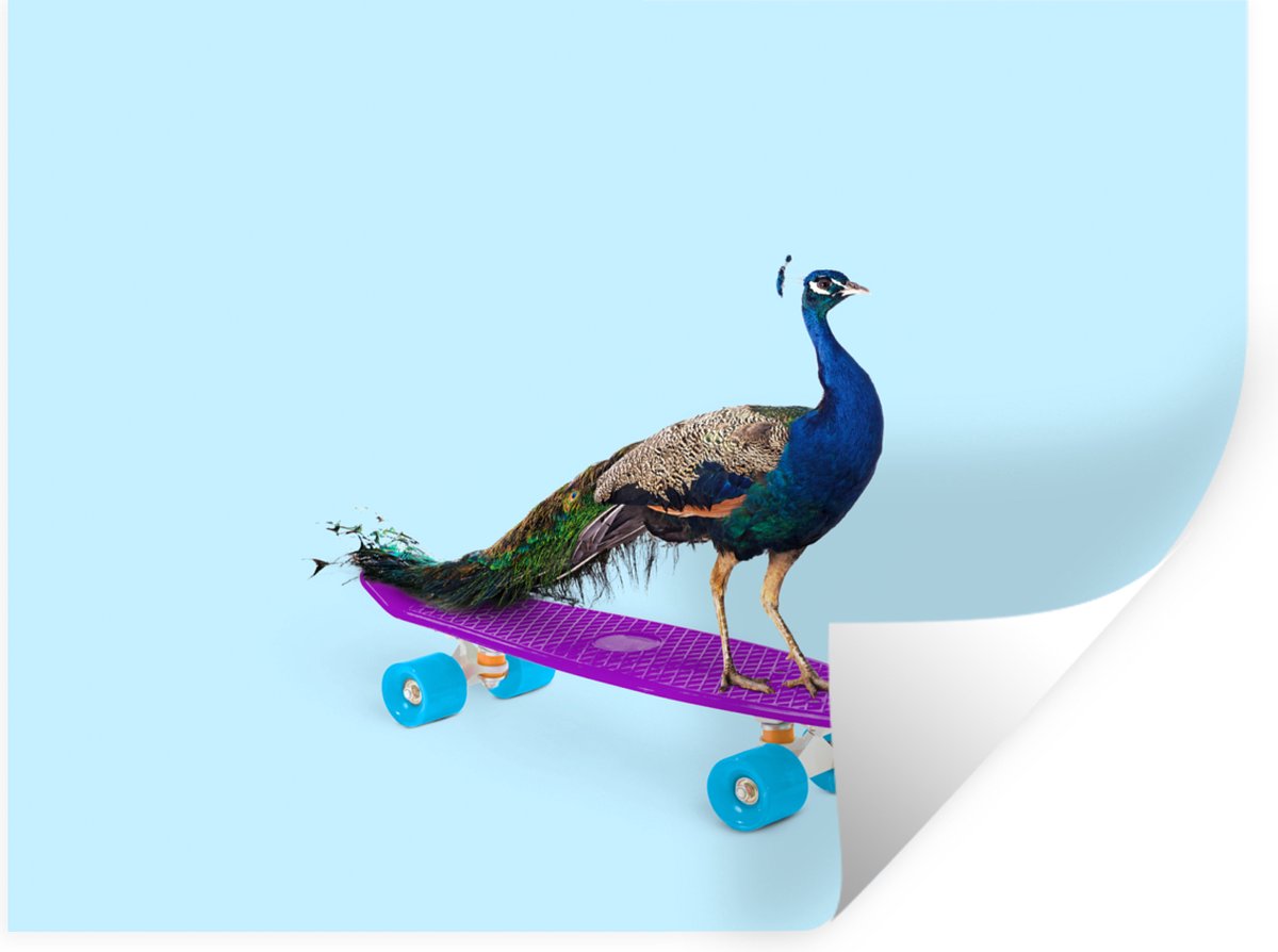Muurstickers - Sticker Folie - Pauw - Blauw - Skateboard - Dieren - Grappig - 80x60 cm - P