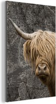 Wanddecoratie Metaal - Aluminium Schilderij Industrieel - Schotse hooglander - Koeien - Wereldkaart - 40x60 cm - Dibond - Foto op aluminium - Industriële muurdecoratie - Voor de woonkamer/slaapkamer