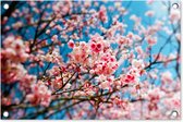 Tuindecoratie Lente - Sakura - Roze - 60x40 cm - Tuinposter - Tuindoek - Buitenposter