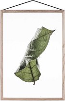 MOEBE Poster Floating Leaves - Groen