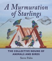 Murmuration Of Starlings