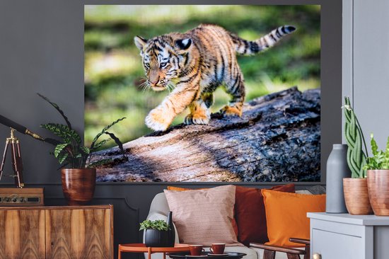 Sticker Muursticker Tigre - Jeune tigre marche sur un tronc d'arbre - 160x120 cm - film autocollant - sticker mural repositionnable XXL /