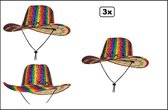 3x Western hoed regenboog - Rainbow - Festival thema feest carnaval party fun money evenement