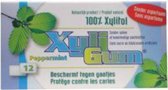 Xyligum Kauwgom Pepermunt 24 x 12ST - Voordeelverpakking
