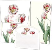 Briefpapier met enveloppen, Tulipa 'Teyler', Anita Walsmit Sachs