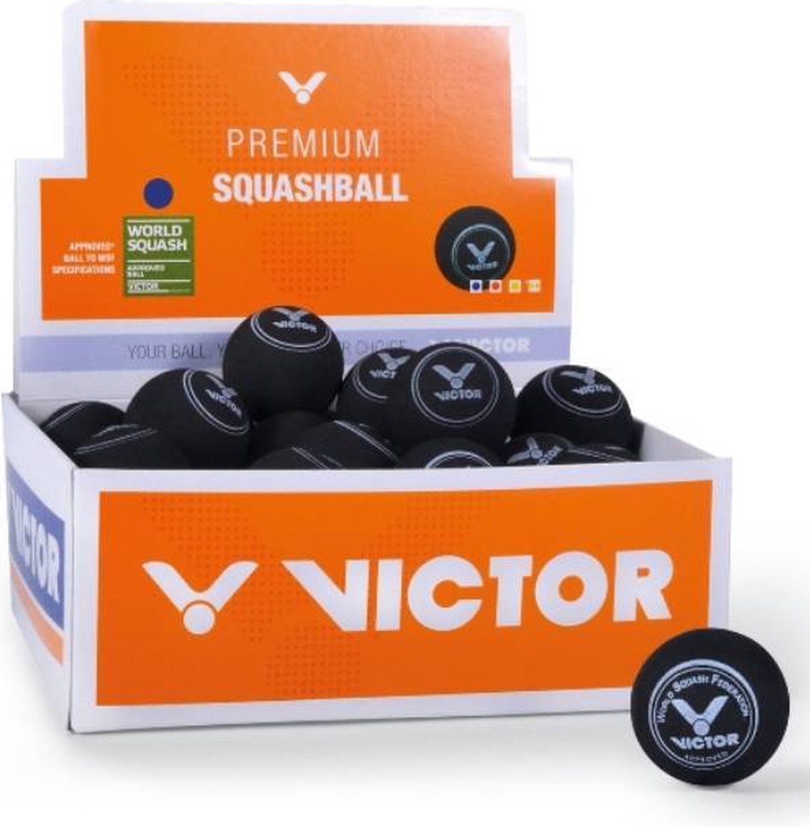 Victor Squashball Blue 12-pack