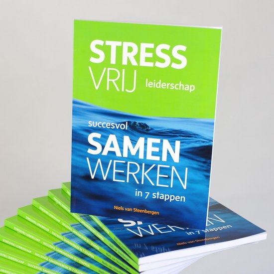 Stressvrijleiderschap: succesvol samenwerken in 7 stappen - cover