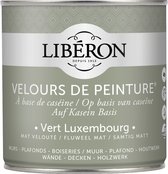 Libéron Velours De Peinture - 0.5L - Vert Luxembourg