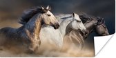 Poster Paarden - Zand - Stof - 40x20 cm