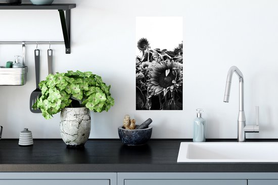 Affiche Tournesols aux Nederland noir et blanc - 20x40 cm