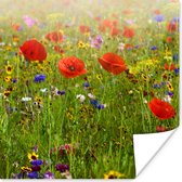 Poster Lente - Bloemen - Rood - Klaproos - Gras - Groen - 75x75 cm