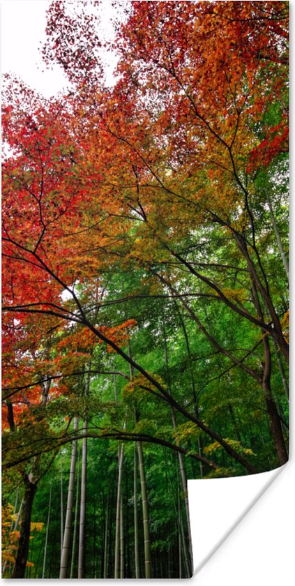 Poster Vele kleuren in het Bamboebos van Arashiyama Japan - 75x150 cm