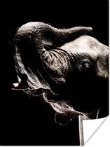 Poster Olifant - Zwart - Dieren - Portret - 30x40 cm