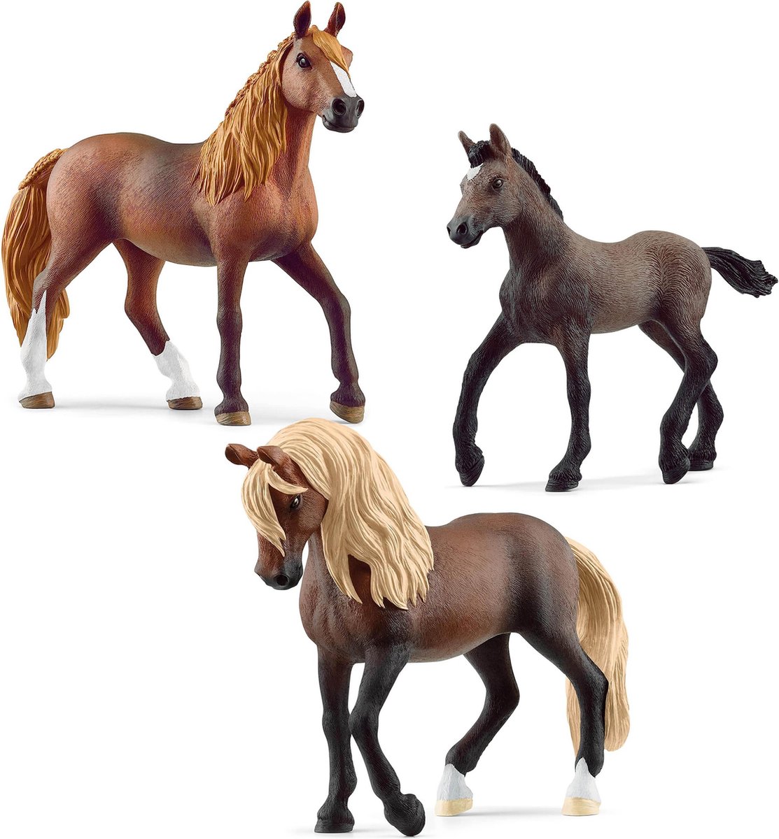 Paardenkoets voor de paardenshow