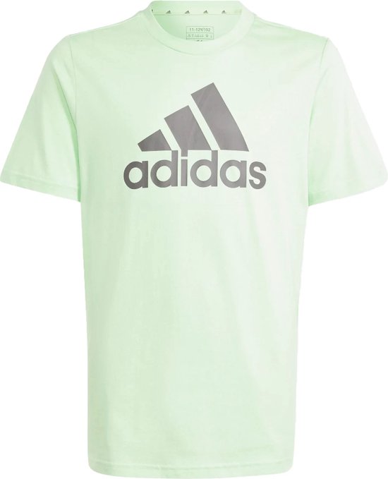 Adidas essentials big logo t-shirt in de kleur groen.