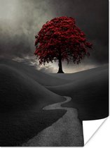 Une photo noir et blanc avec un grand arbre rouge Poster 30x40 cm - petit - Tirage photo sur Poster (décoration murale salon / chambre)