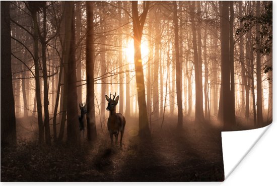 Poster Bos - Hert - Zon - Bomen - Winter - Natuur - Dieren - 90x60 cm