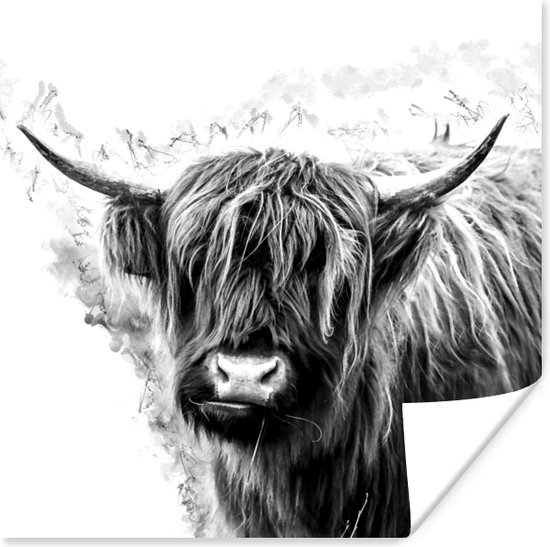 Affiche Highlander écossais - Vache - Wit - 75x75 cm