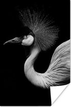 Poster Kraanvogel - Zwart - Wit - Vogel - Dieren - 20x30 cm