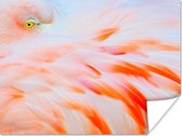 Poster Close-up foto van een flamingo - 160x120 cm XXL