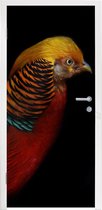Deursticker Vogel - Veren - Zwart - Portret - 80x205 cm - Deurposter
