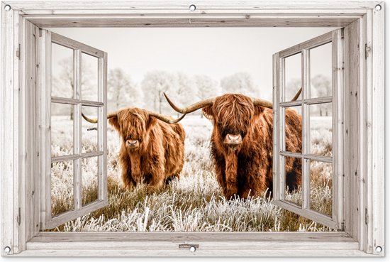 Twee Schotse hooglanders met grote horens in een winterse veld, door een opengewerkte houten raamkozijn.