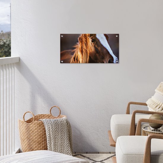 Poster de jardin Cheval - Léger - Fourrure - 60x30 cm - Toile de jardin - Poster extérieur