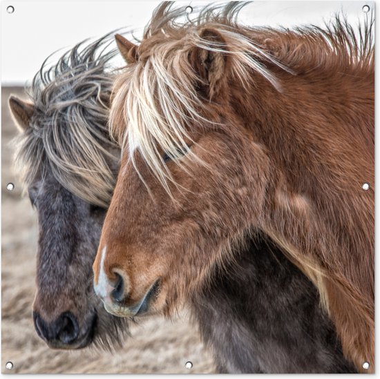Tuindoek Paarden - Natuur - Macro - 100x100 cm