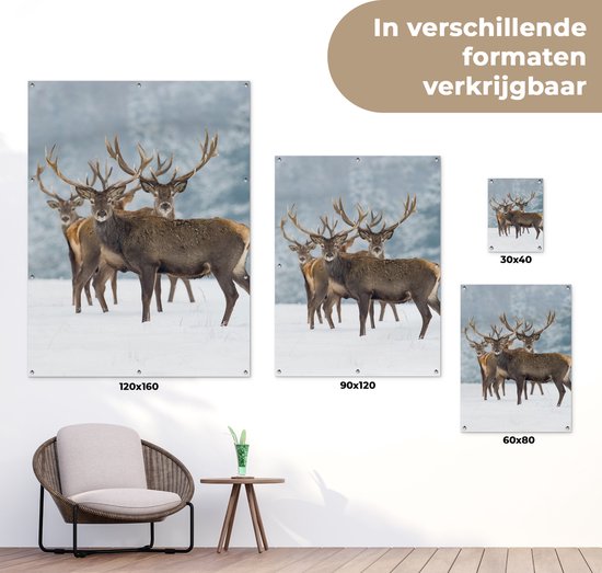 Affiche jardin - Toile jardin - Posters de jardin extérieur - Cerf - Animaux - Neige - Hiver - Paysage - Nature - 90x120 cm - Jardin